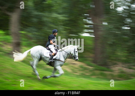 Neil Spratt Upleadon galopante sur les cours de ski de fond à Burghley Horse Trials Stamford Lincolnshire en septembre 2014 Banque D'Images