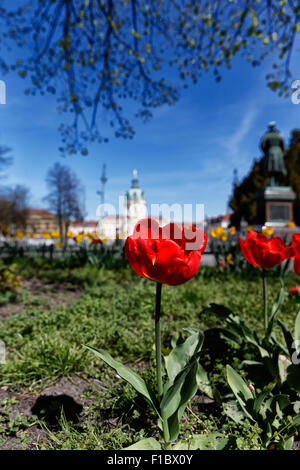 Berlin, Allemagne, les tulipes sur la promenade centrale de la Schlossstrasse Banque D'Images