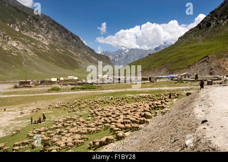 L'Inde, le Jammu-et-Cachemire, Srinagar à Leh Highway, Zojila Pass, troupeau de moutons avaient tendance par Gujjar shepherd boys Banque D'Images