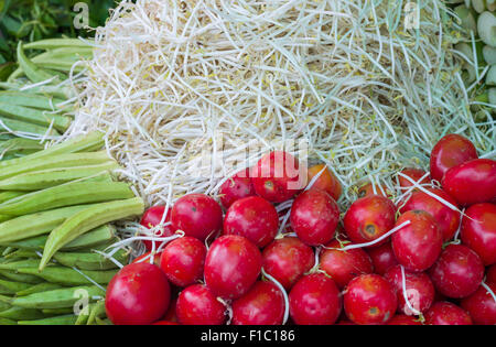 Germes de haricots, tomates et le gombo Banque D'Images