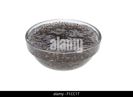 Le gel de chia ou gel, chia seeds sont gonflés avant de l'utiliser dans l'eau Banque D'Images