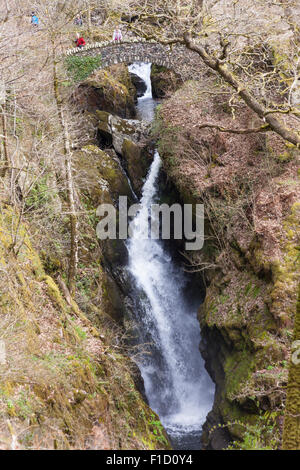 Aira Force cascade, près de Ullswater et le lac Ullswater, Lake District, Cumbria, Angleterre Banque D'Images