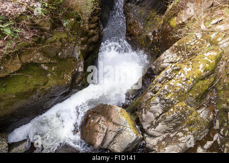 Donnant sur Aira Force cascade, près de Ullswater et le lac Ullswater, Lake District, Cumbria, Angleterre Banque D'Images