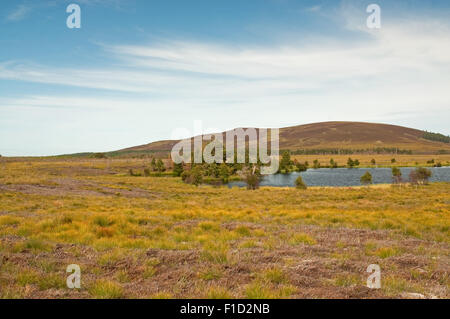 Sur le Loch noir Dava Moor Banque D'Images