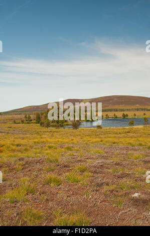 Sur le Loch noir Dava Moor Banque D'Images