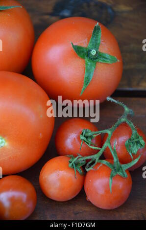 Les tomates rouges biologiques Banque D'Images