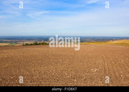 La lointaine vallée de York vue d'un nouveau champ arable cultivée à l'english channel en août. Banque D'Images
