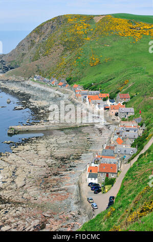 Crovie, un petit village sur une corniche étroite le long de la mer comportant une seule rangée de maisons dans l'Aberdeenshire, Ecosse, Royaume-Uni Banque D'Images