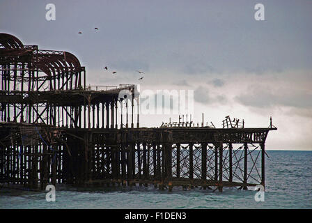 Brûlé rusty pier occupés par des mouettes après-midi nuageux ciel, Brighton en Angleterre. Banque D'Images