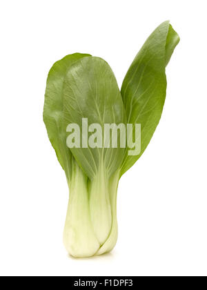 Pak choi on white Banque D'Images