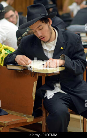 Un jeune homme juif religieux études dans une synagogue à Crown Heights, Brooklyn, New York City Banque D'Images