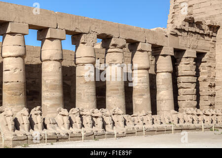 Temple de Karnak, Louxor, Egypte, Afrique du Sud Banque D'Images