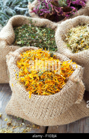 Herbes de guérison dans des sacs de jute, la médecine de fines herbes. Banque D'Images