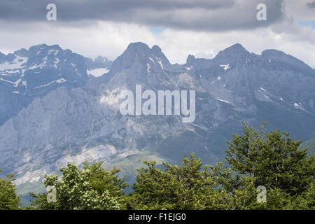 Le sud du parc national Picos de Europa en Castille et Léon Banque D'Images