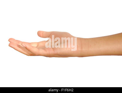 Femelle ouverte ou palm part mendier isolé sur fond blanc Banque D'Images