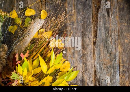 Bouquet d'automne Arrière-plan avec copie Espace. Les plantes de l'automne sur la table en bois vieilli. Banque D'Images