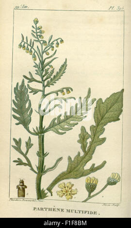 *Flore médicale des Antilles* se concentre sur les plantes médicinales des Antilles. Il fournit des descriptions détaillées et des illustrations de plantes utilisées à des fins médicinales, hébergées au Missouri Botanical Garden et à la Peter H. Raven Library. Banque D'Images