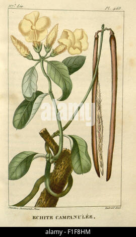 'Flore médicale des Antilles' est un ouvrage botanique sur les plantes médicinales des Antilles. Il fournit des descriptions détaillées et des illustrations de plantes utilisées pour la médecine traditionnelle, qui font partie de la collection Missouri Botanical Garden. Banque D'Images