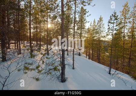 Mer Blanche, de l'Arctique, la Russie. 15 Oct, 2014. Arctique, Russie, nord de la Russie, de la mer Blanche, Kareliya © Andrey Nekrasov/ZUMA/ZUMAPRESS.com/Alamy fil Live News Banque D'Images