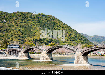 Iwakuni, Japon. Le multi-arquée pont en bois Kintaikyo, célèbre site touristique, enjambant la rivière Nishiki-gawa, avec château Iwakuni en montagne. Banque D'Images