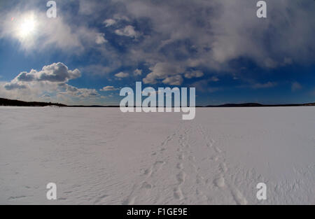 Mer Blanche, de l'Arctique, la Russie. 15 Oct, 2014. Arctique, Russie, nord de la Russie, de la mer Blanche, Kareliya © Andrey Nekrasov/ZUMA/ZUMAPRESS.com/Alamy fil Live News Banque D'Images