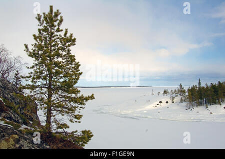 Mer Blanche, de l'Arctique, la Russie. 15 Oct, 2014. Arctique, Russie, nord de la Russie, de la mer Blanche, Kareliya © Andrey Nekrasov/ZUMA/ZUMAPRESS.com/Alamy fil Live News Banque D'Images