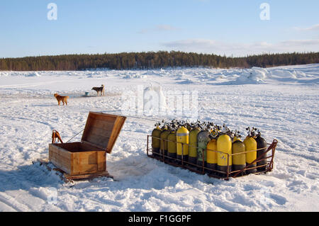 Mer Blanche, de l'Arctique, la Russie. 15 Oct, 2014. Arctique, Russie, nord de la Russie, de la mer Blanche, Kareliya © Andrey Nekrasov/ZUMA/ZUMAPRESS.com/Alamy fil Live News Banque D'Images