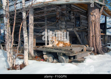 Mer Blanche, de l'Arctique, la Russie. 15 Oct, 2014. Arctique, Russie, nord de la Russie, de la mer Blanche, Kareliya © Andrey Nekrasov/ZUMA/ZUMAPRESS.com/Alamy fil Live News Banque D'Images