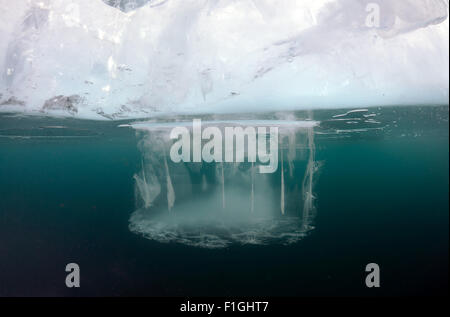 Le lac Baïkal, Sibérie, Russie. 15 Oct, 2014. ice-plongée, dans le lac Baïkal, en Sibérie, la Russie, l'île Olkhon. © Andrey Nekrasov/ZUMA/ZUMAPRESS.com/Alamy fil Live News Banque D'Images