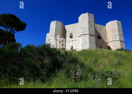 Castel del Monte, le castrum Sancta Maria de Monte, Pouilles, Italie Banque D'Images