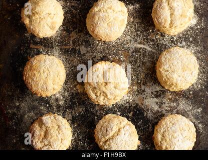 Close up of scones fraîchement cuits sur la plaque de cuisson Banque D'Images