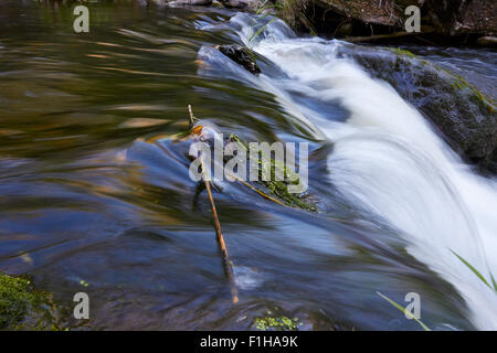 Myllykulma rapids of Orimattila, Finlande Banque D'Images