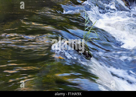 Myllykulma rapids of Orimattila, Finlande Banque D'Images