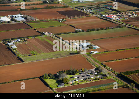 Les jardins maraîchers, Pukekohe, South Auckland, île du Nord, Nouvelle-Zélande - vue aérienne Banque D'Images