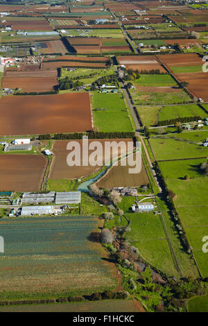 Les jardins maraîchers, Pukekohe, South Auckland, île du Nord, Nouvelle-Zélande - vue aérienne Banque D'Images