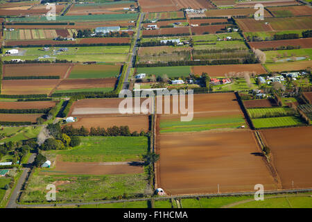 Les jardins maraîchers, Pukekohe, South Auckland, île du Nord, Nouvelle-Zélande - vue aérienne Banque D'Images