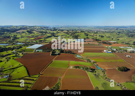 Les jardins maraîchers près de Pukekohe, South Auckland, île du Nord, Nouvelle-Zélande - vue aérienne Banque D'Images