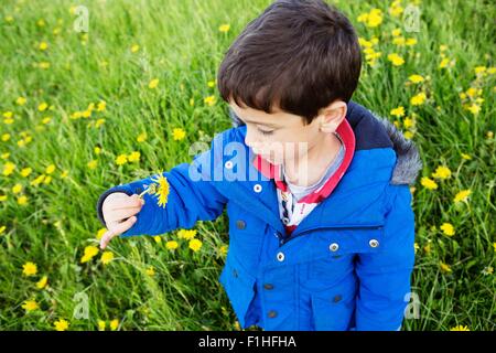 Portrait of Boy in Blue Coat blowing dandelion clock Banque D'Images