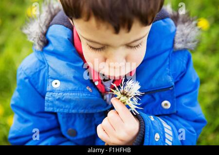 Portrait of Boy in Blue Coat blowing dandelion clock Banque D'Images