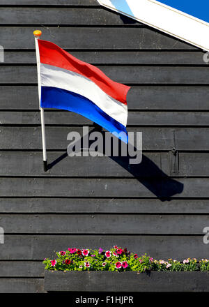 Drapeau national néerlandais de fleurs accroché sur bois foncé Banque D'Images