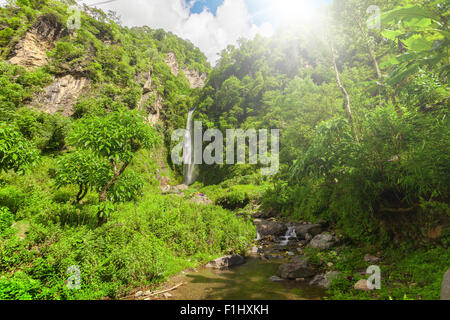 Cascade dans Forêt profonde près de. Banque D'Images