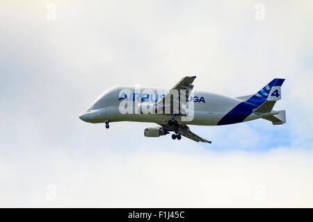 L'avion Beluga entrée en terre. Banque D'Images