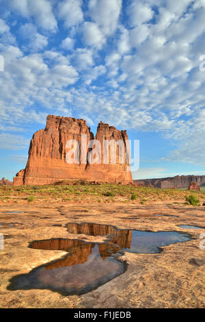 Réflexions dans des piscines en palais de lavage à l'Arches National Park près de Moab, Utah Banque D'Images