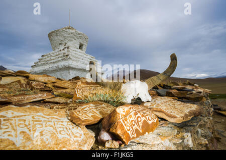 Un crâne de yack avec le mantra gravé "Om Mani Padme Hum" et Mani des pierres sur un stupa chez Tso Kar, 4 530 m, Changtang, région Thukje Banque D'Images
