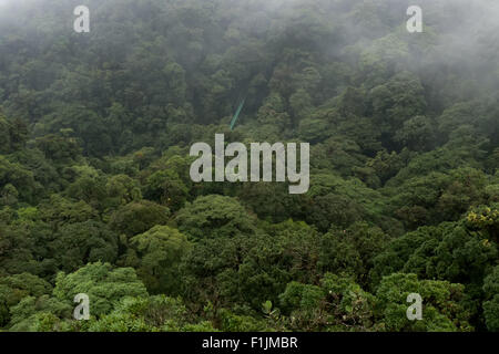 Pont suspendu au Parc National de la Forêt Nuageuse de Monteverde, Costa Rica, Amérique centrale. Jungle, forêt, forêt tropicale Banque D'Images