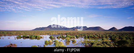 Aperçu du paysage Erindi, Damaraland, Namibie, Afrique Banque D'Images