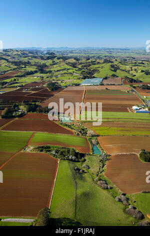 Les jardins maraîchers près de Pukekohe, South Auckland, île du Nord, Nouvelle-Zélande - vue aérienne Banque D'Images