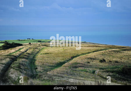 Brighton, UK. 3 Septembre, 2015. Un avertissement a été placé par les Sheepcote valley car park, de Brighton, que les formes de vie extra-terrestres ont été repérés dans les champs à proximité de l'hippodrome du dernier week-end Banque D'Images