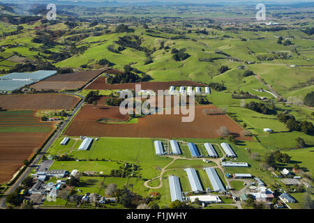 Une ferme près de Pukekohe, South Auckland, île du Nord, Nouvelle-Zélande - vue aérienne Banque D'Images