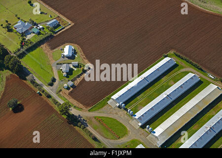 Une ferme près de Pukekohe, South Auckland, île du Nord, Nouvelle-Zélande - vue aérienne Banque D'Images